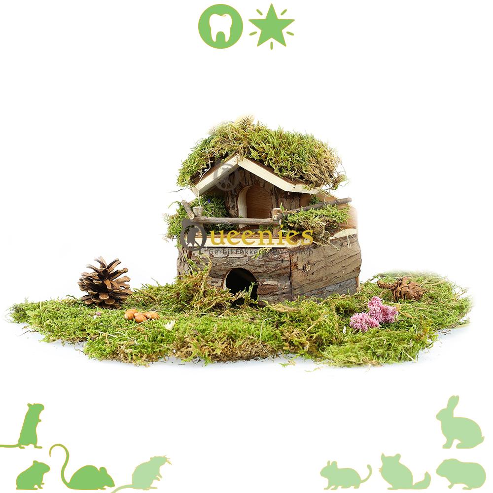 Hamster huis met 2 etages