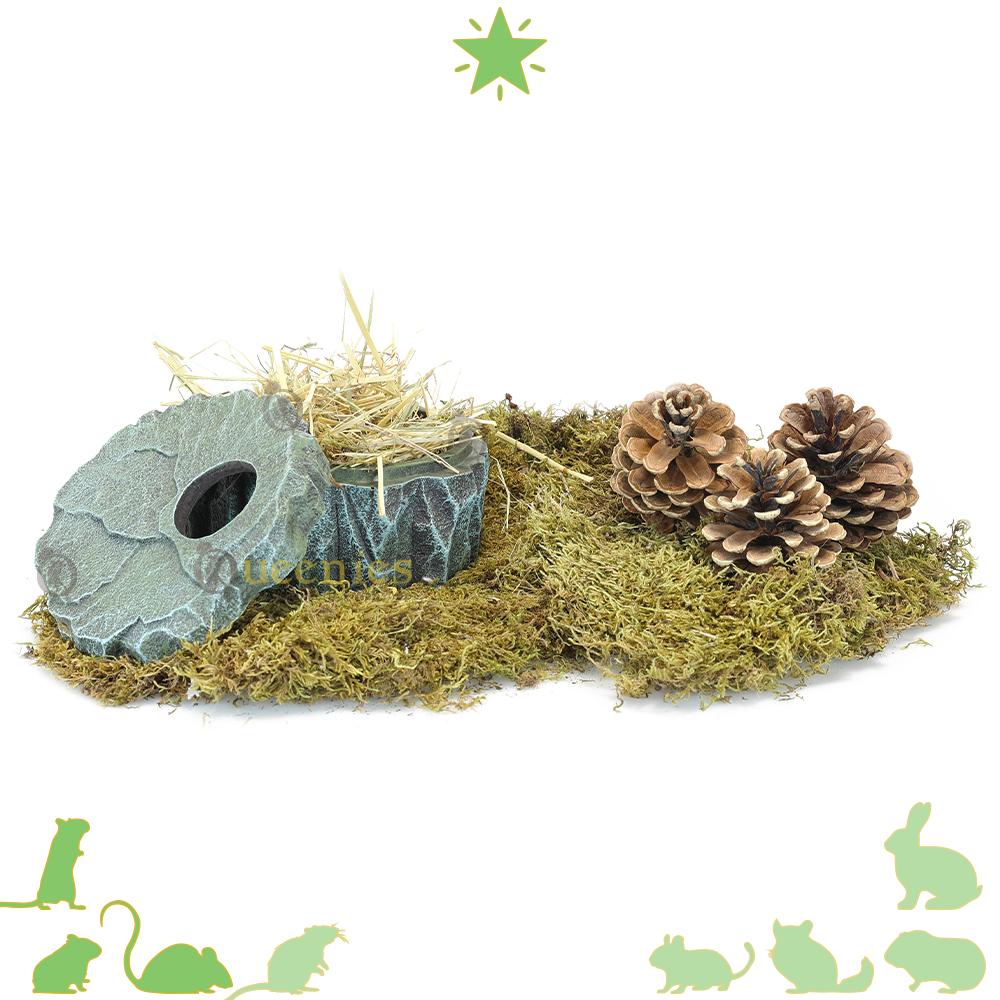 Hamsterscape rots met afneembaar deksel 