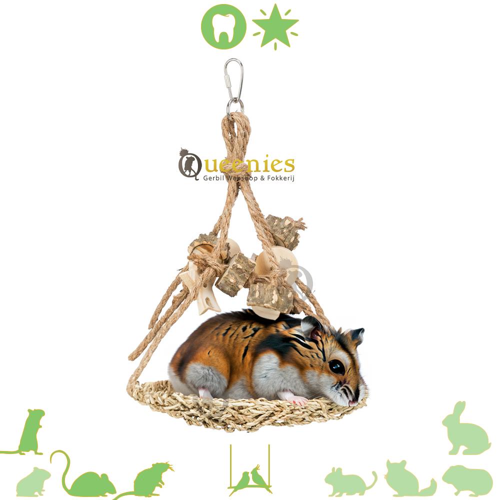 Schommel Speelgoed voor Gerbils en Hamsters