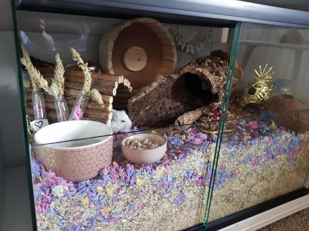 Terrarium voor hamster met schuifruiten zonder plateaus - vast voorschot