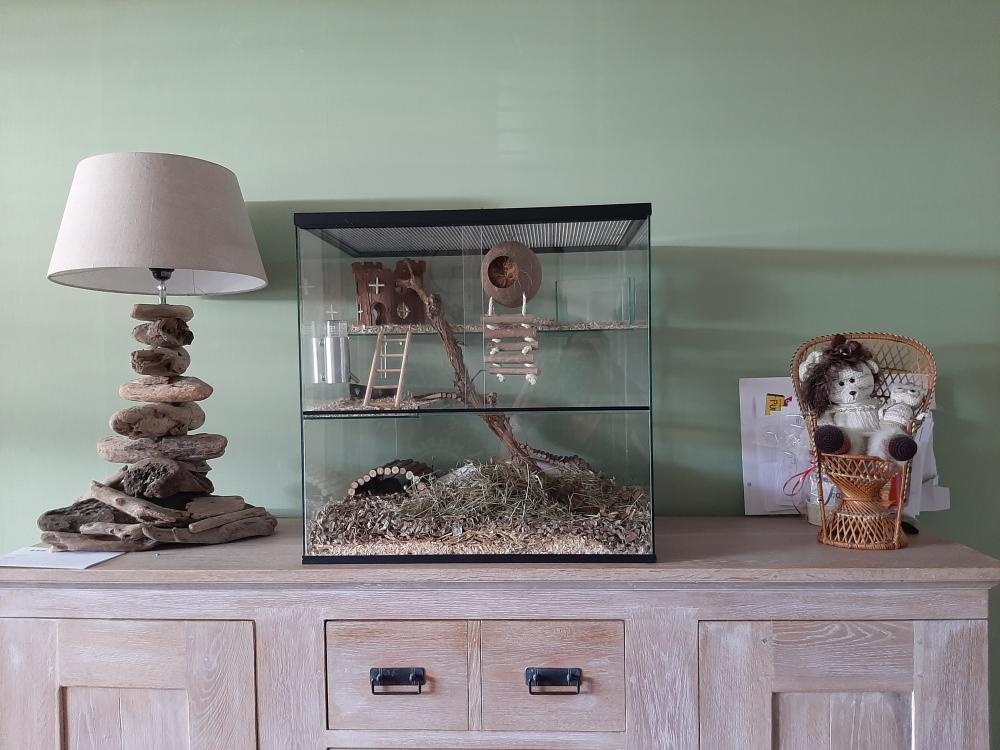 Gerbil terrarium 60x40x60