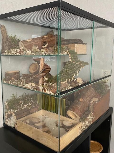Gerbilarium 60x40x60 met humus als bodembedekking