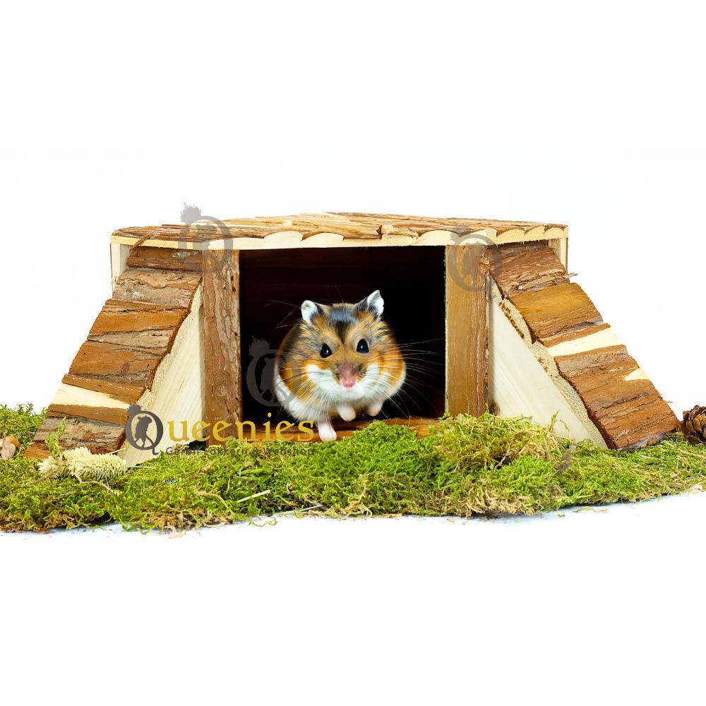 Hoekhuis thordis