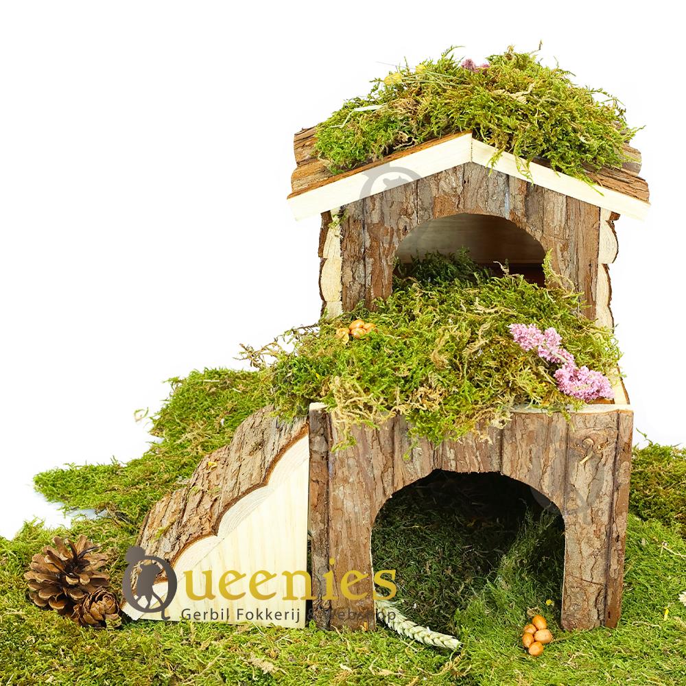 Bjork hamsterscaping huis voor Degoes