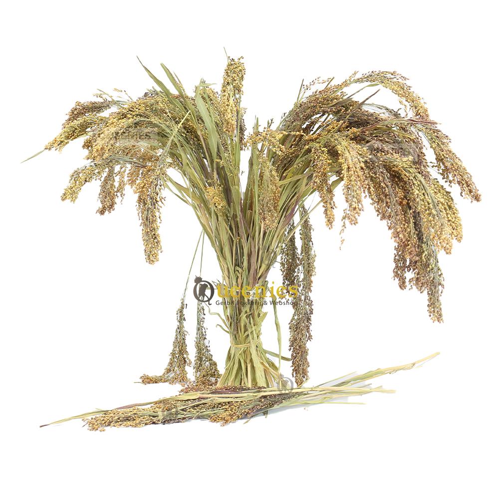 Parelgierst 200 gram