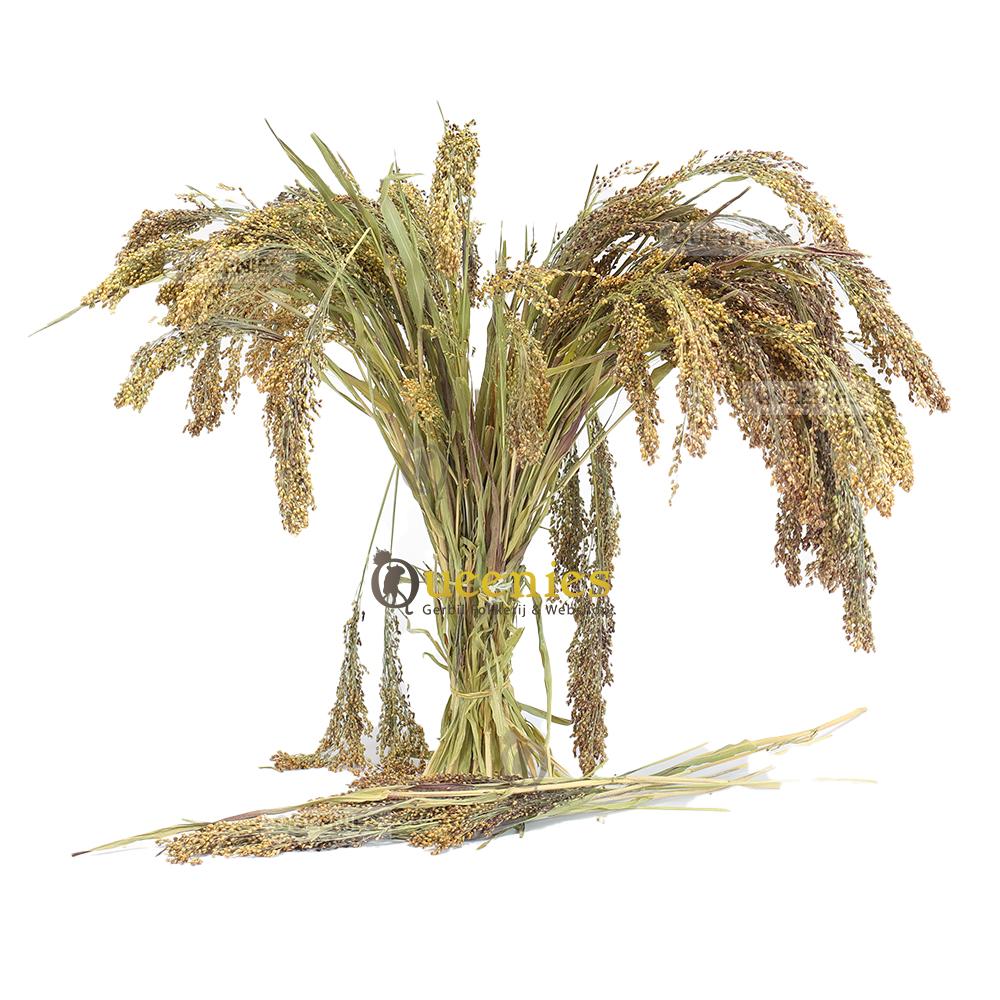 Parelgierst 200 gram