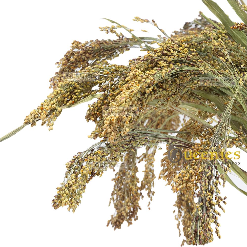 Parelgierst 200 gram