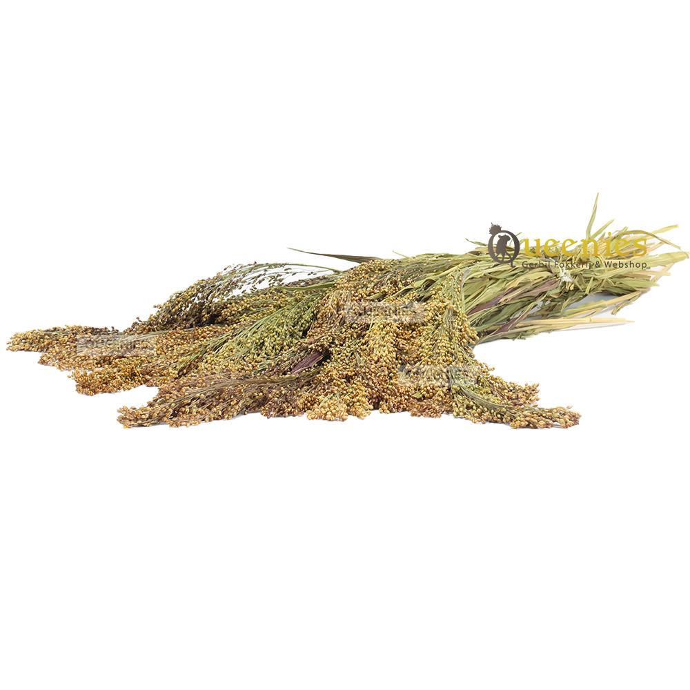 Parelgierst 200 gram