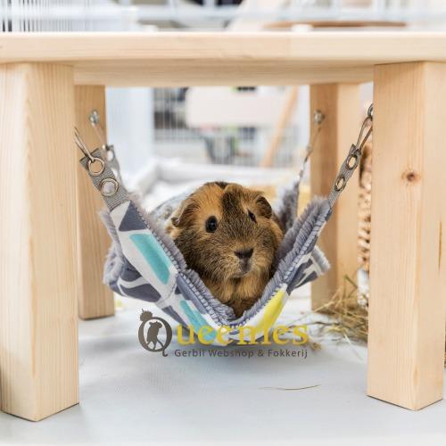 Cavia in hangmat onder plateau