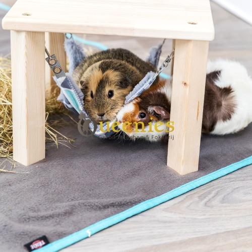Konijnen en Cavia hangmat