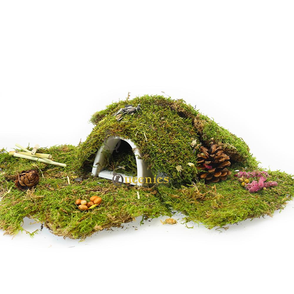 Iglo met Koelplaat