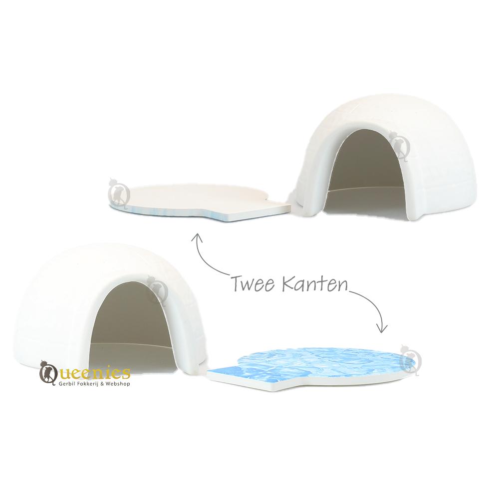 Iglo met Koelplaat