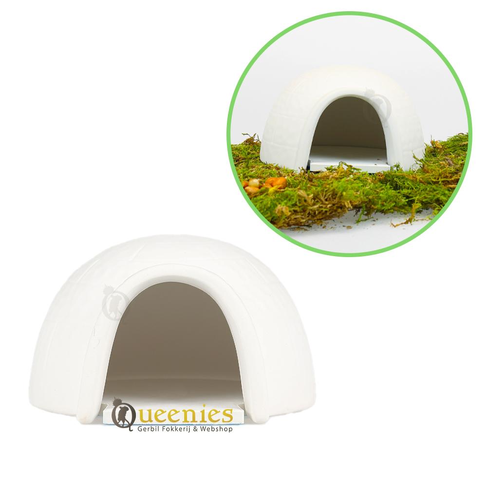 Iglo met Koelplaat