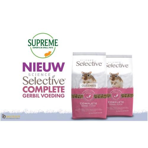 Gerbil exxpert adviseert dit gerbilvoer