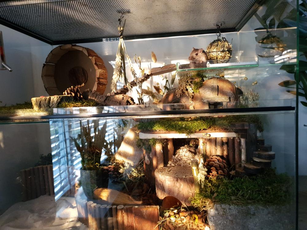Terrarium Mos voor knaagdieren 200 gram