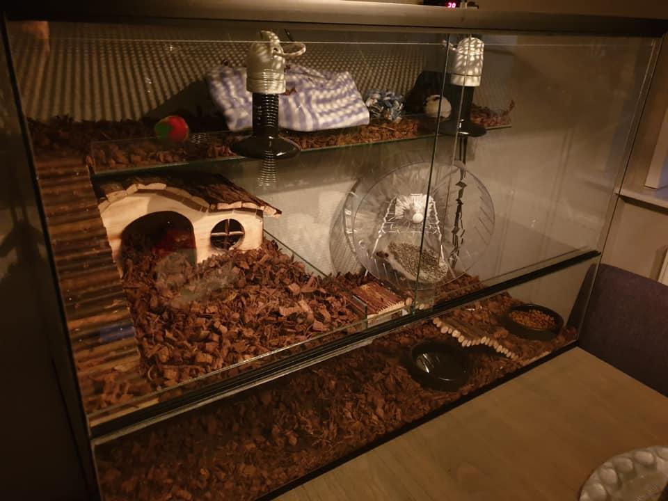 Egel terrarium 90x45x60