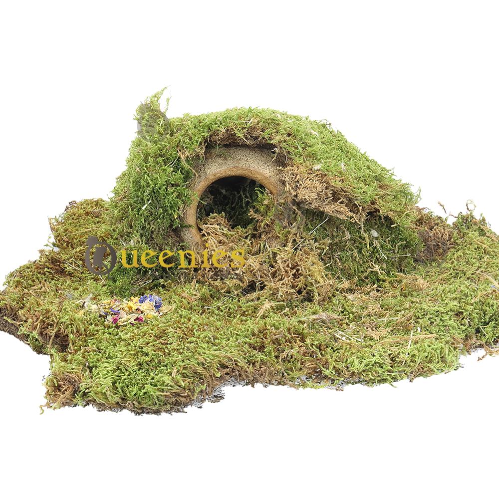 Grot van grote Noot in hamsterscape