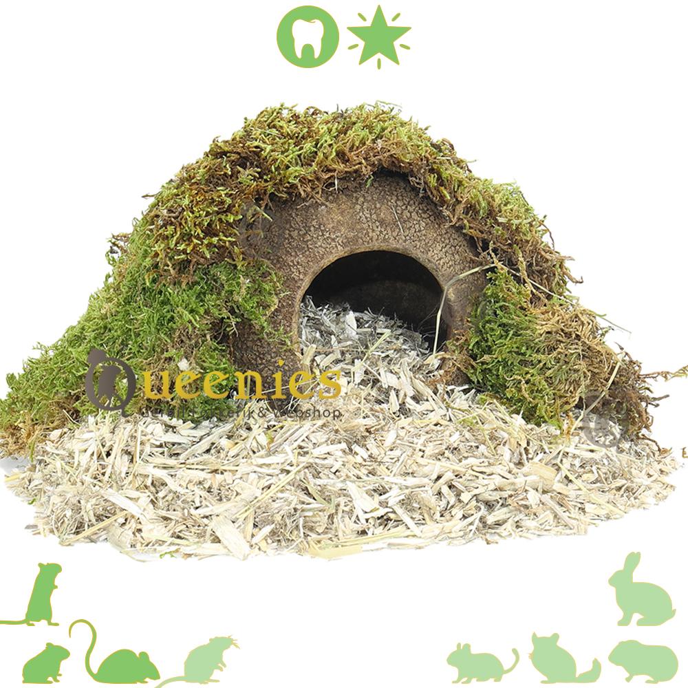 Hamster hut kopen voor hamsterscaping