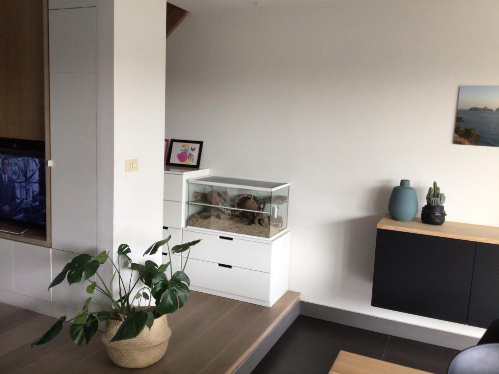 Knaagdieren terrarium met witte profielen