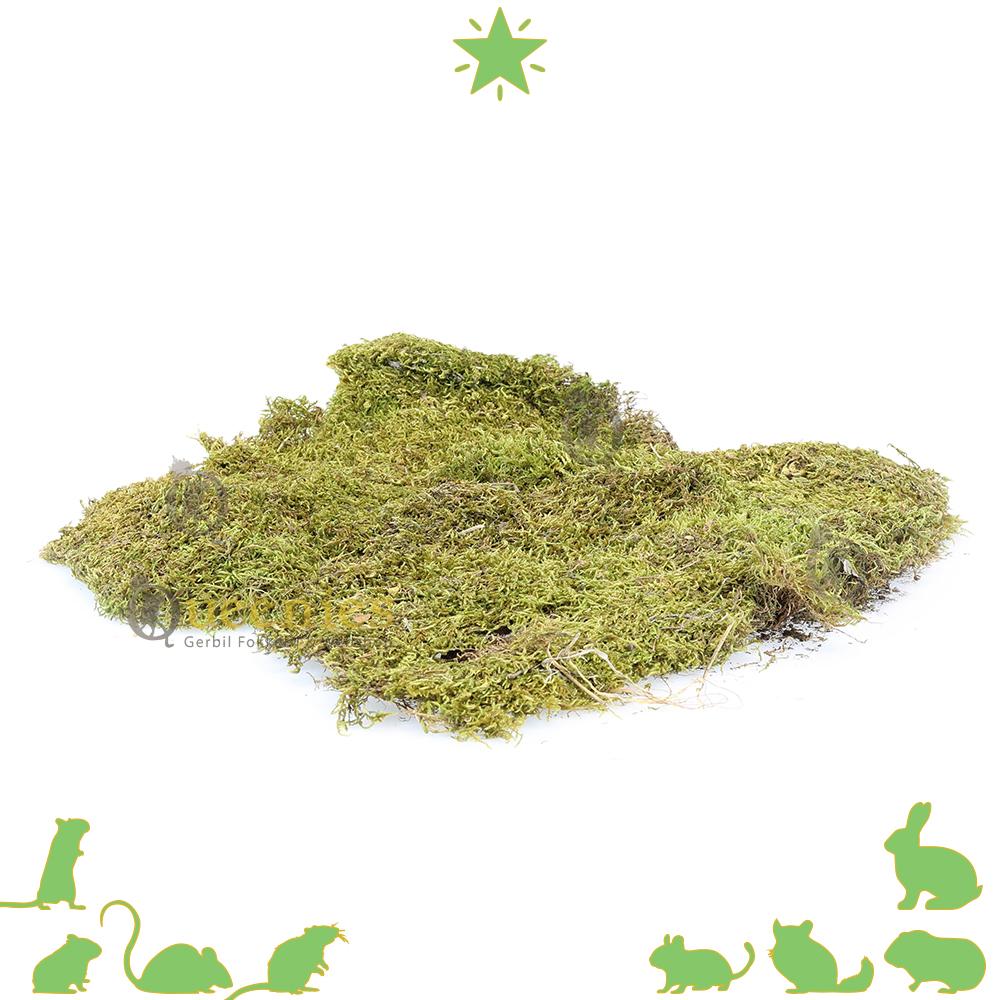Terrarium Mos voor knaagdieren 200 gram