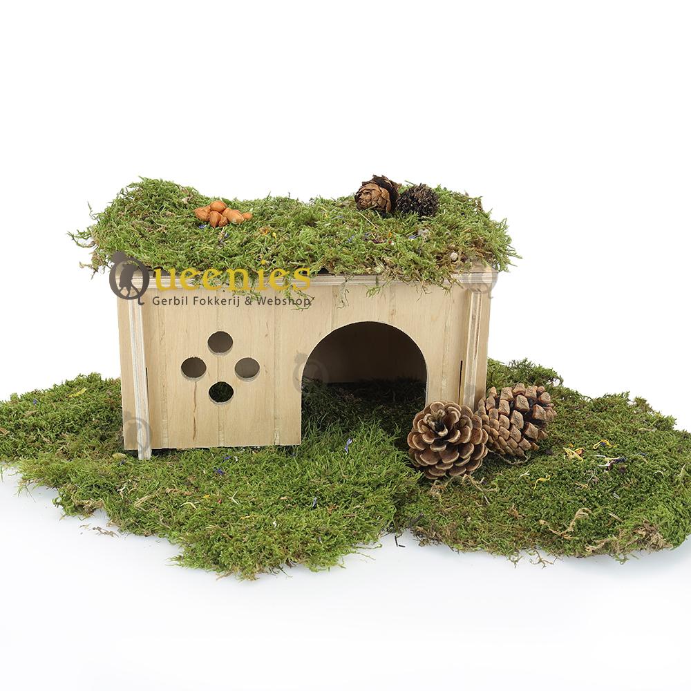Houten huisjes voor Knaagdieren
