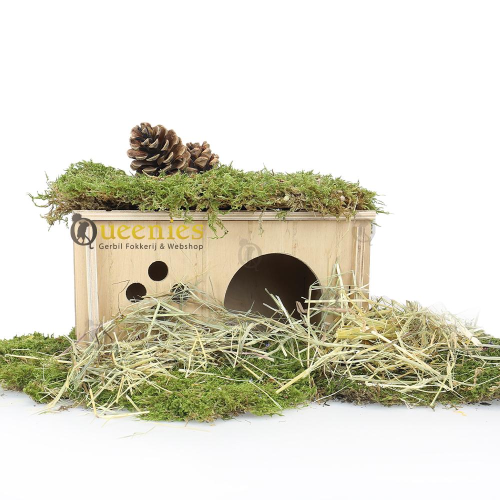 Natuurlijk hamsterscape huisje