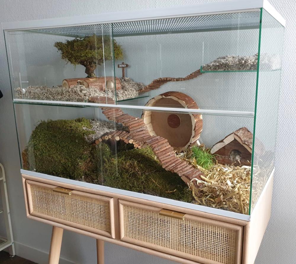 Knaagdieren terrarium met witte profielen