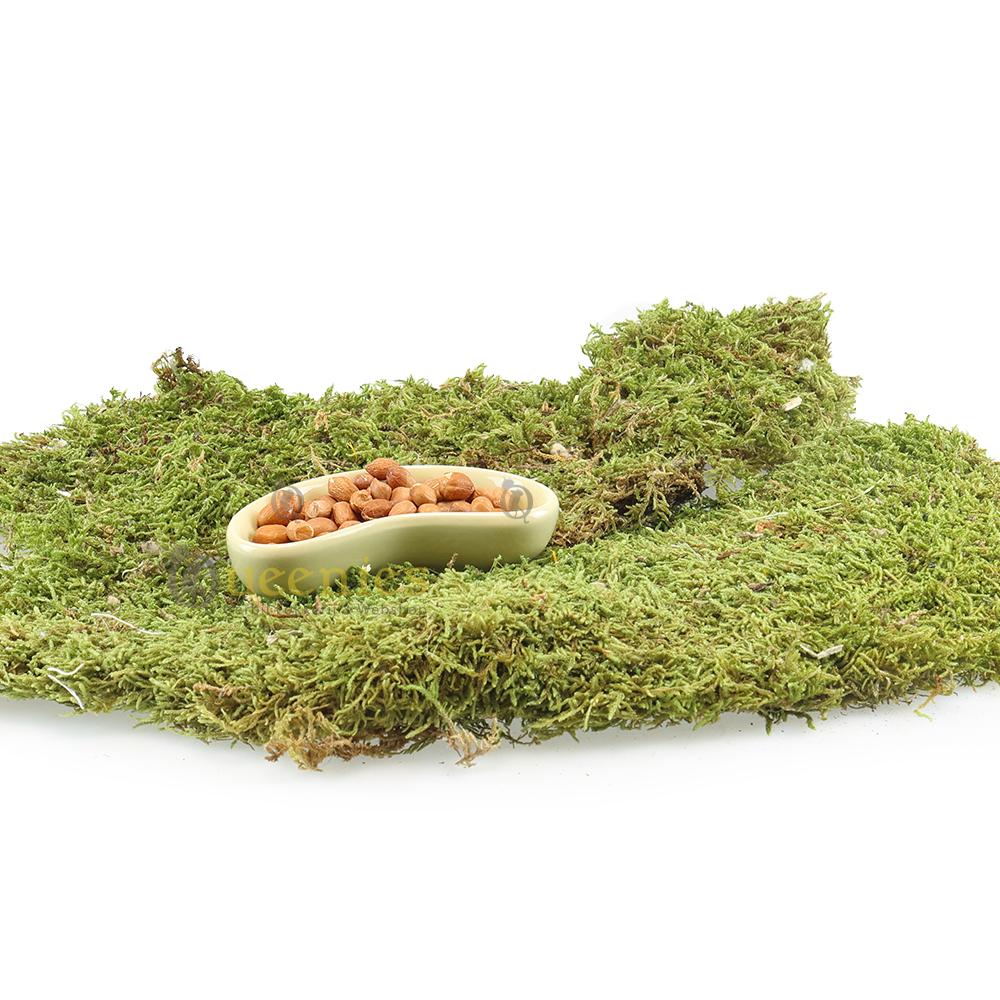 Voerbak voor Hamsters