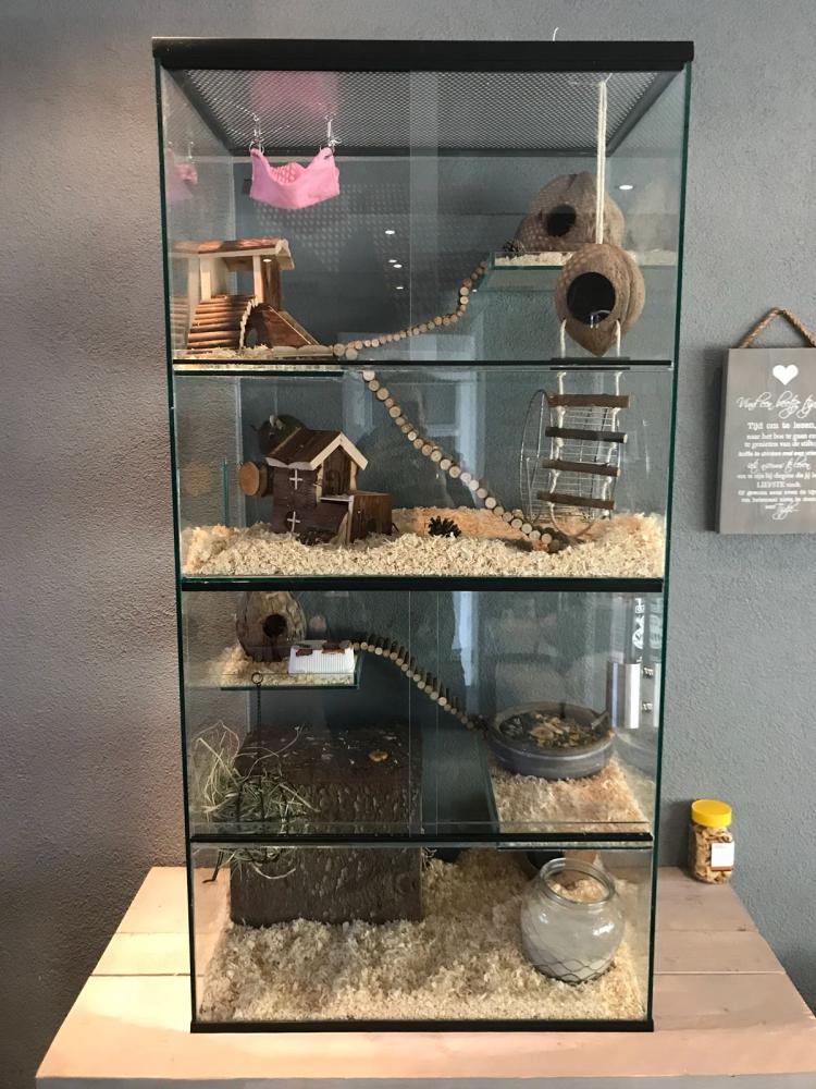 Degoe terrarium 60x40x120