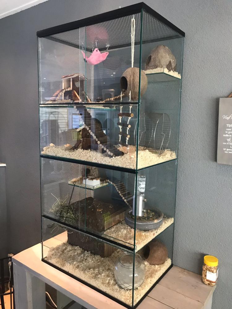 Degoe terrarium 60x40x120