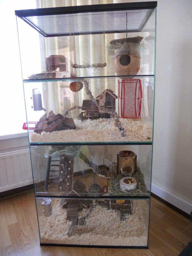 Degoe terrarium 60x40x120