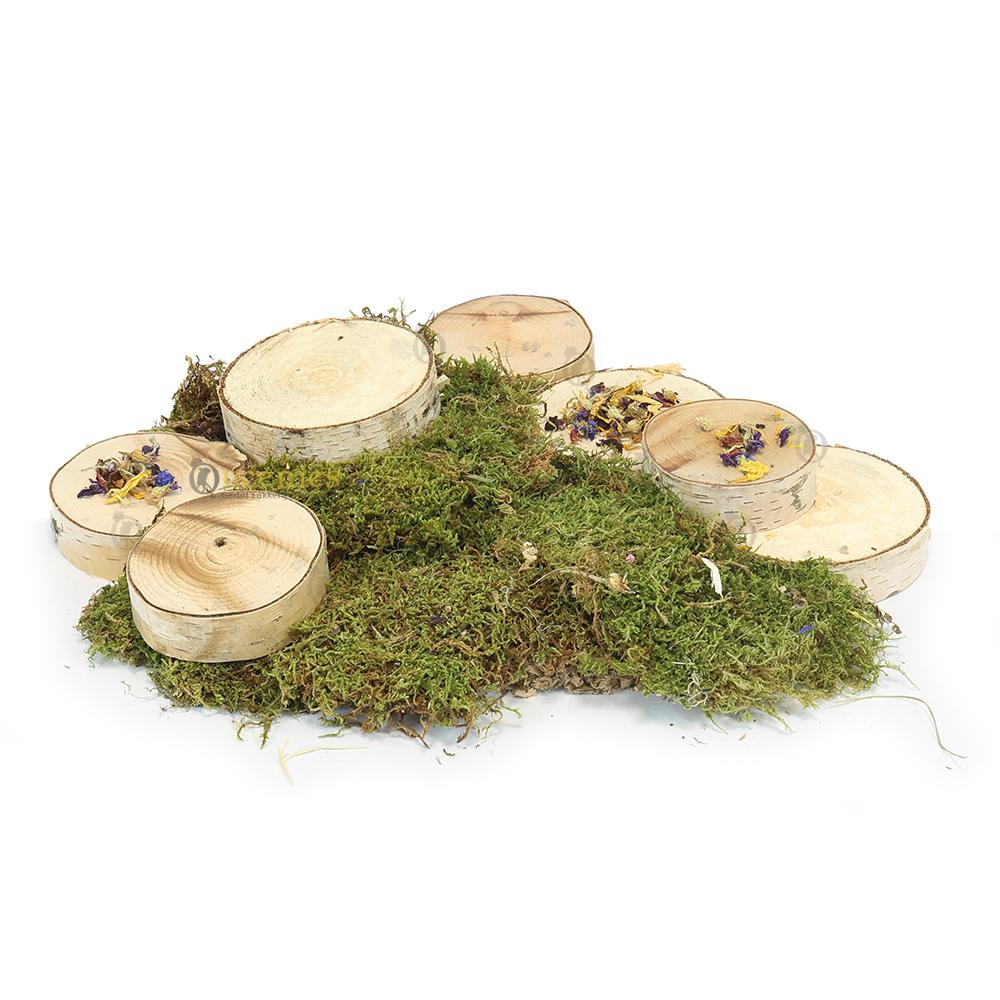 Trappetjes maken van berkenschijven