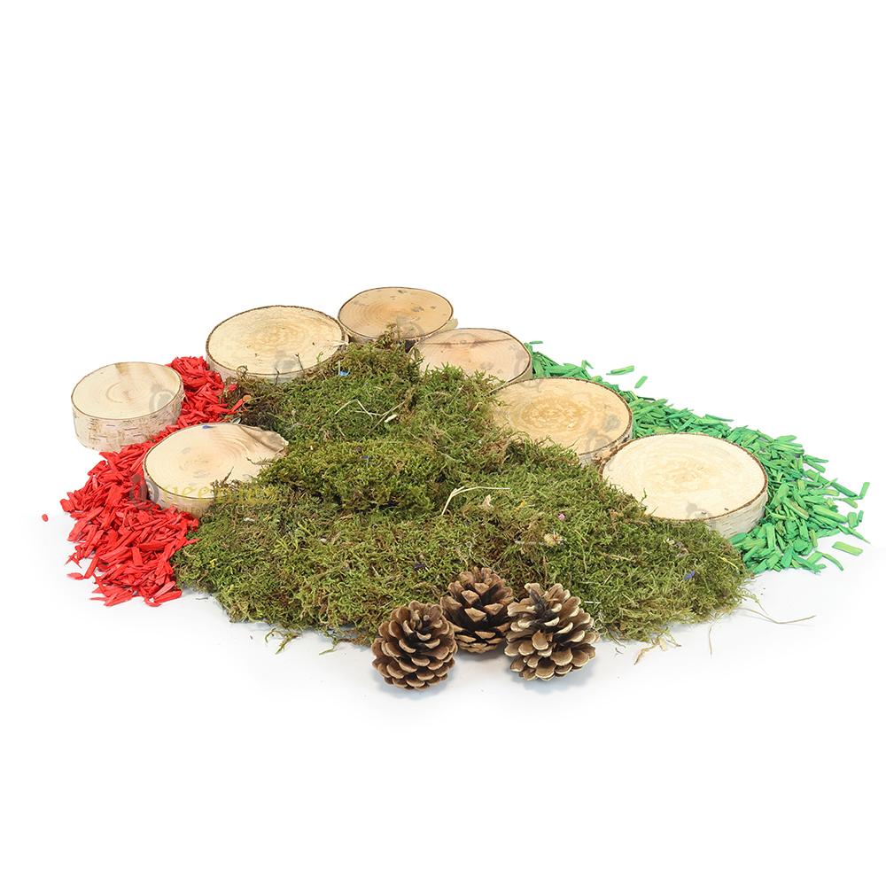 Berkenschijven voor Gerbils en Degoes met Color Wood