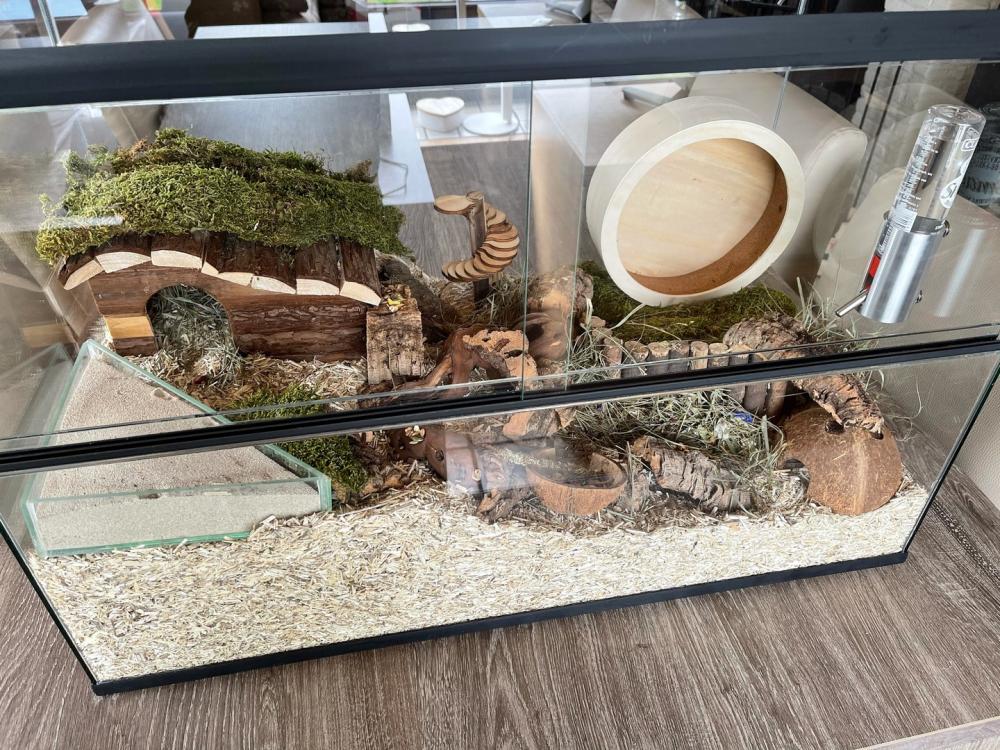 Gebruikte hamster terrarium online bestellen