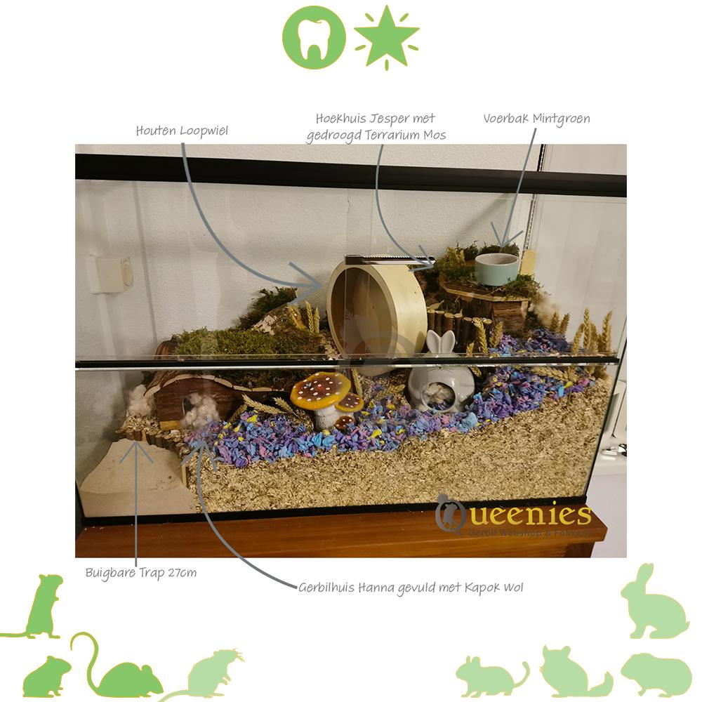 Buigbare Trap 27 cm