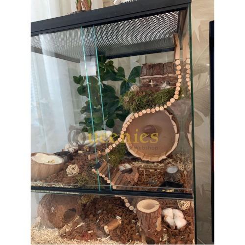 Terrarium met Exotic Kokosvezel