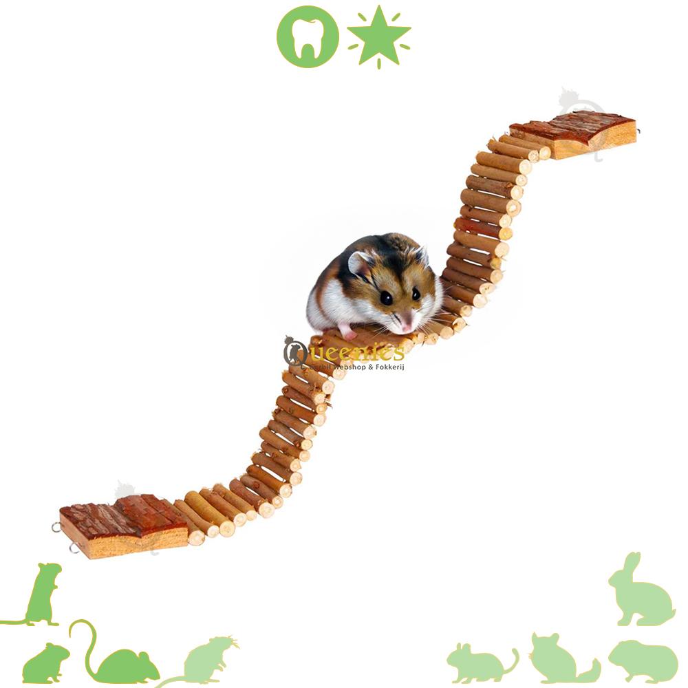Buigzame ladder 55 cm