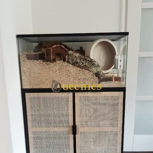 Buigbare Trap 27 cm