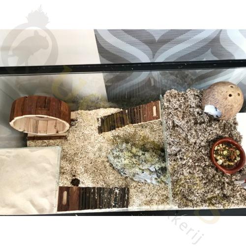 Buigbare Trap 27 cm