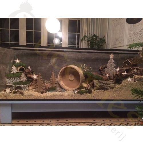 Hamsterscaping starterspakket