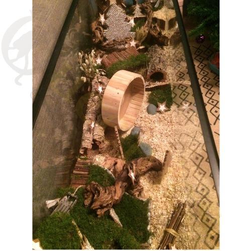 Hamsterscaping starterspakket