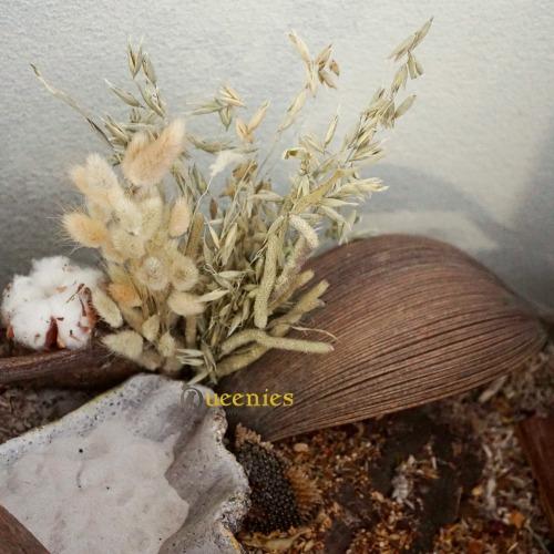 De kokosnoot in een hamsterscaping