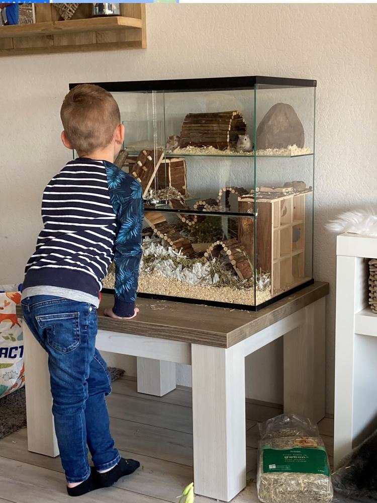 Gerbilarium 60x40x60 kindercadeau