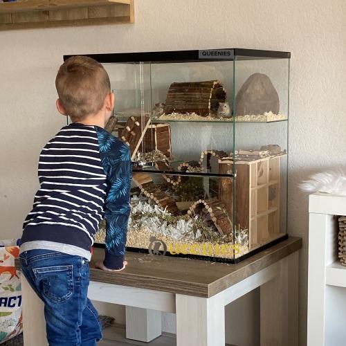 Wilgenbrug als schuilhuisje in Gerbil terrarium