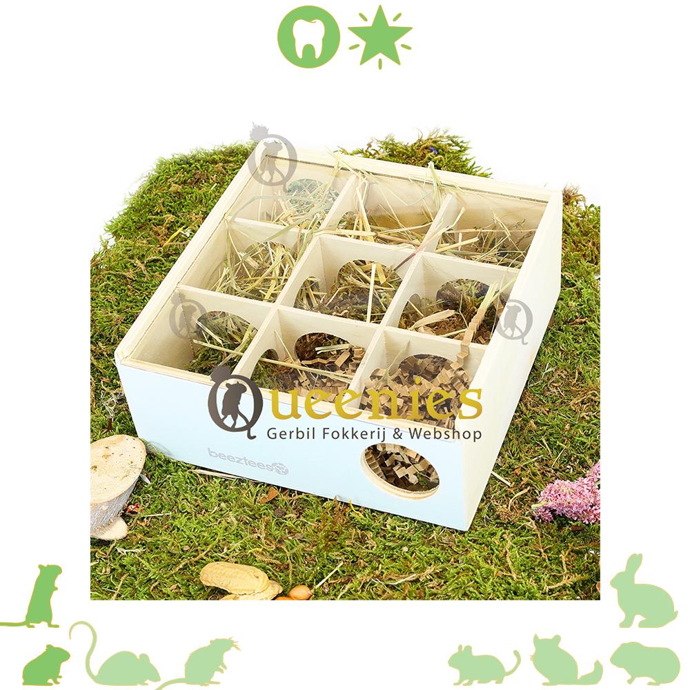Beeztees doolhof cleo voor Dwerhamster