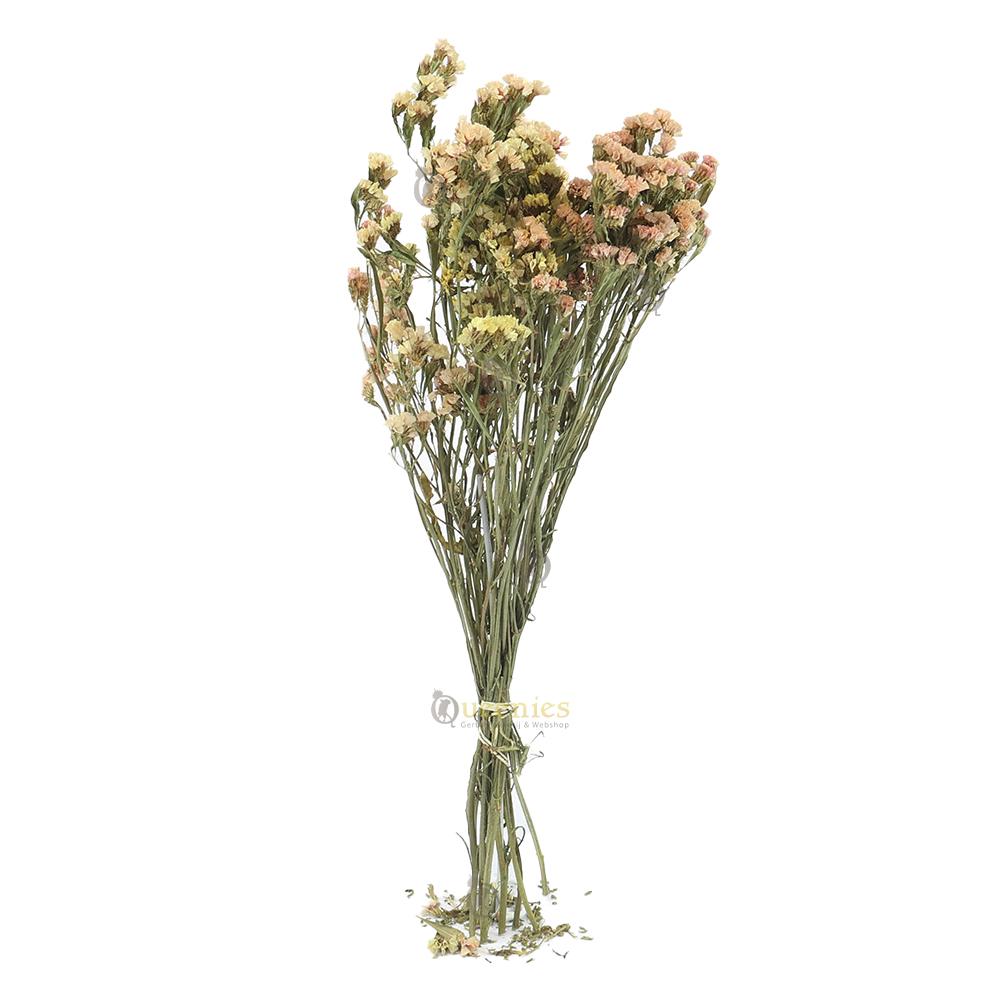 Droogbloemen bos