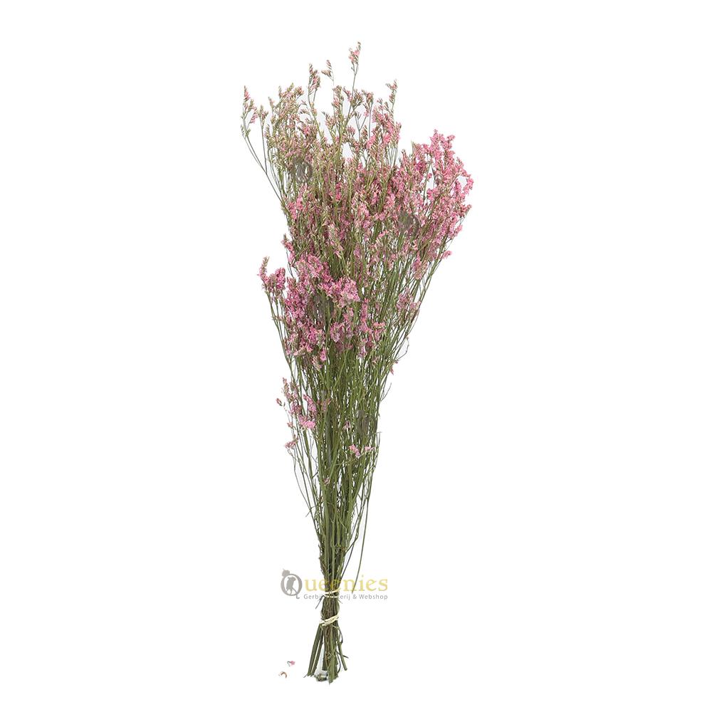 Roze Zeelavendel voor Konijnen