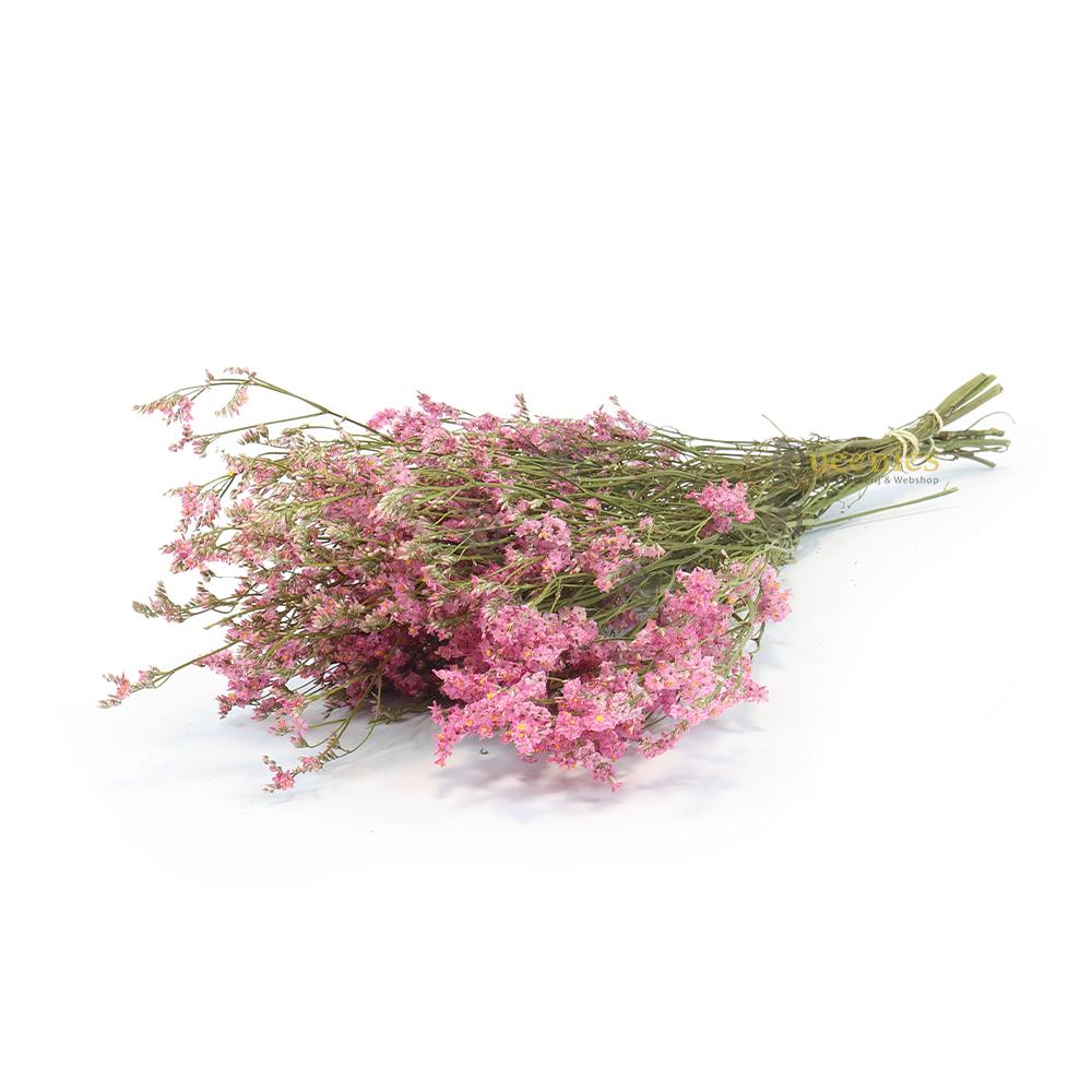Roze Zeelavendel voor Hamsters