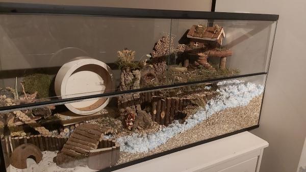 Hamsterscaping in glazen hamsterkooi met schuifruiten zonder plateaus