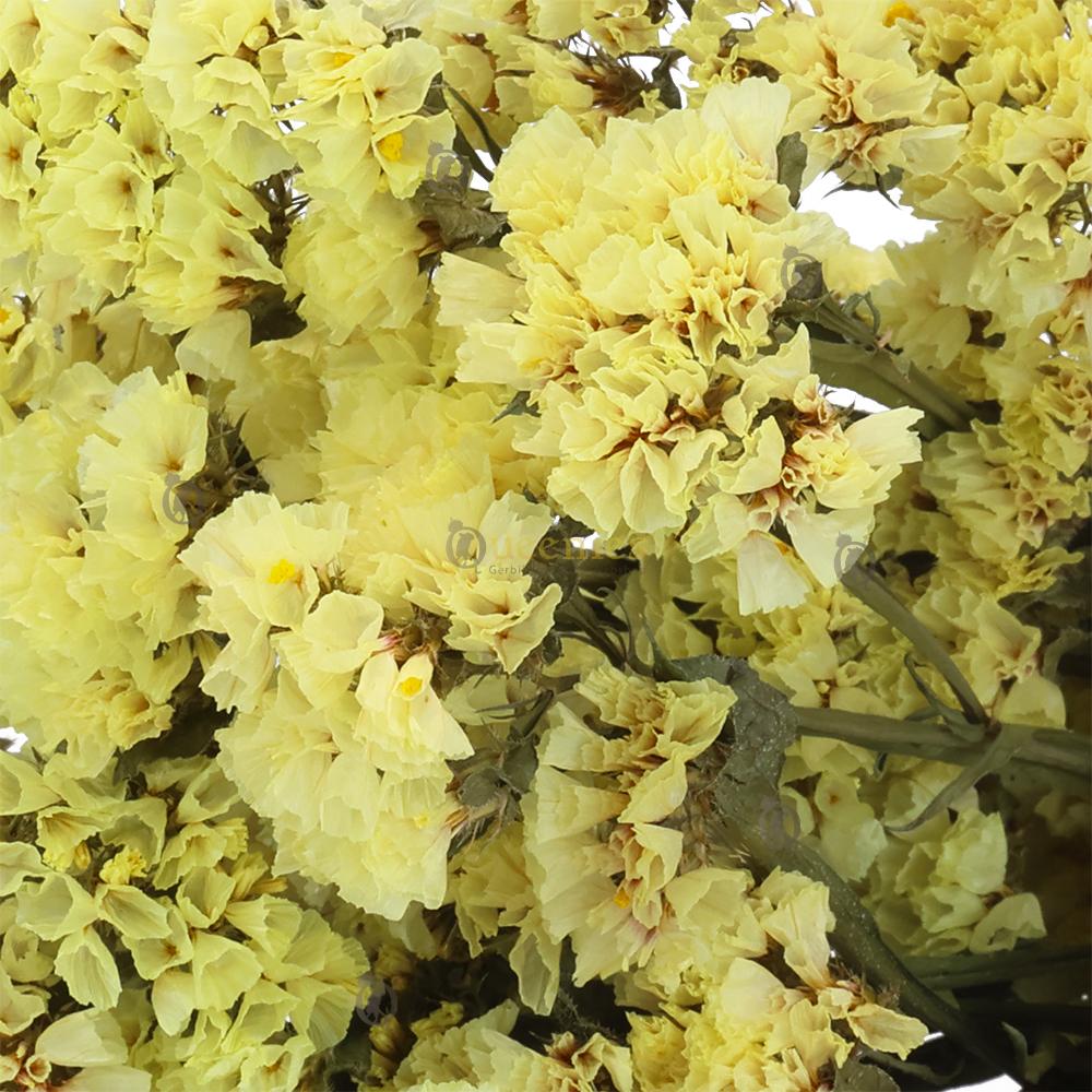 Bloemen voor Hamsterscaping